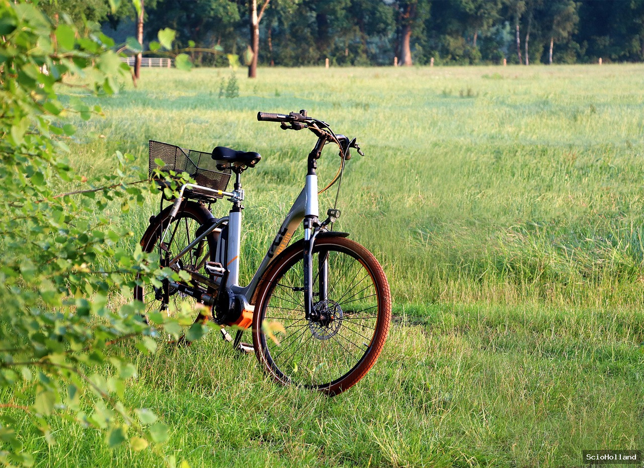 Electric Bike Buying Guide 2026: Your Ultimate Roadmap to the Perfect e-Bike inline 1